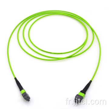 Câble de ligne MPO 12F 24F OM5 Lime 3,0 mm